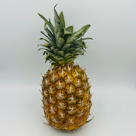 Flug Ananas - 1 Stück