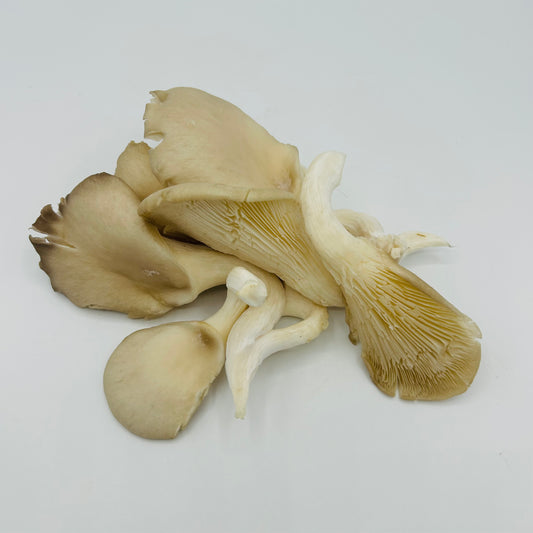 Austernpilze - 100g