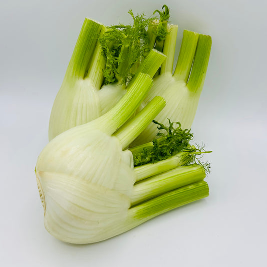 Fenchel - 1 Stück