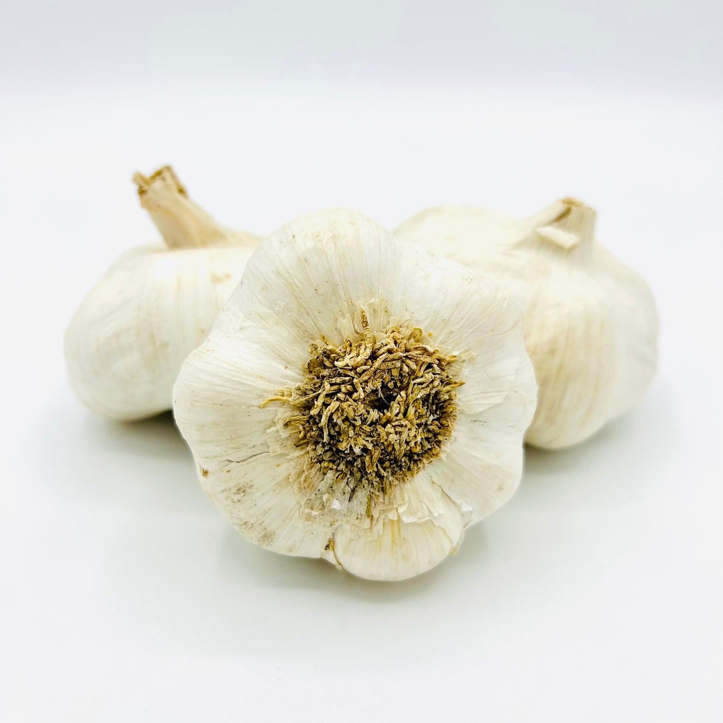 Knoblauch trocken - 1 Stück