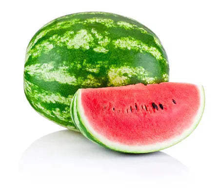 Wassermelone, kernarm