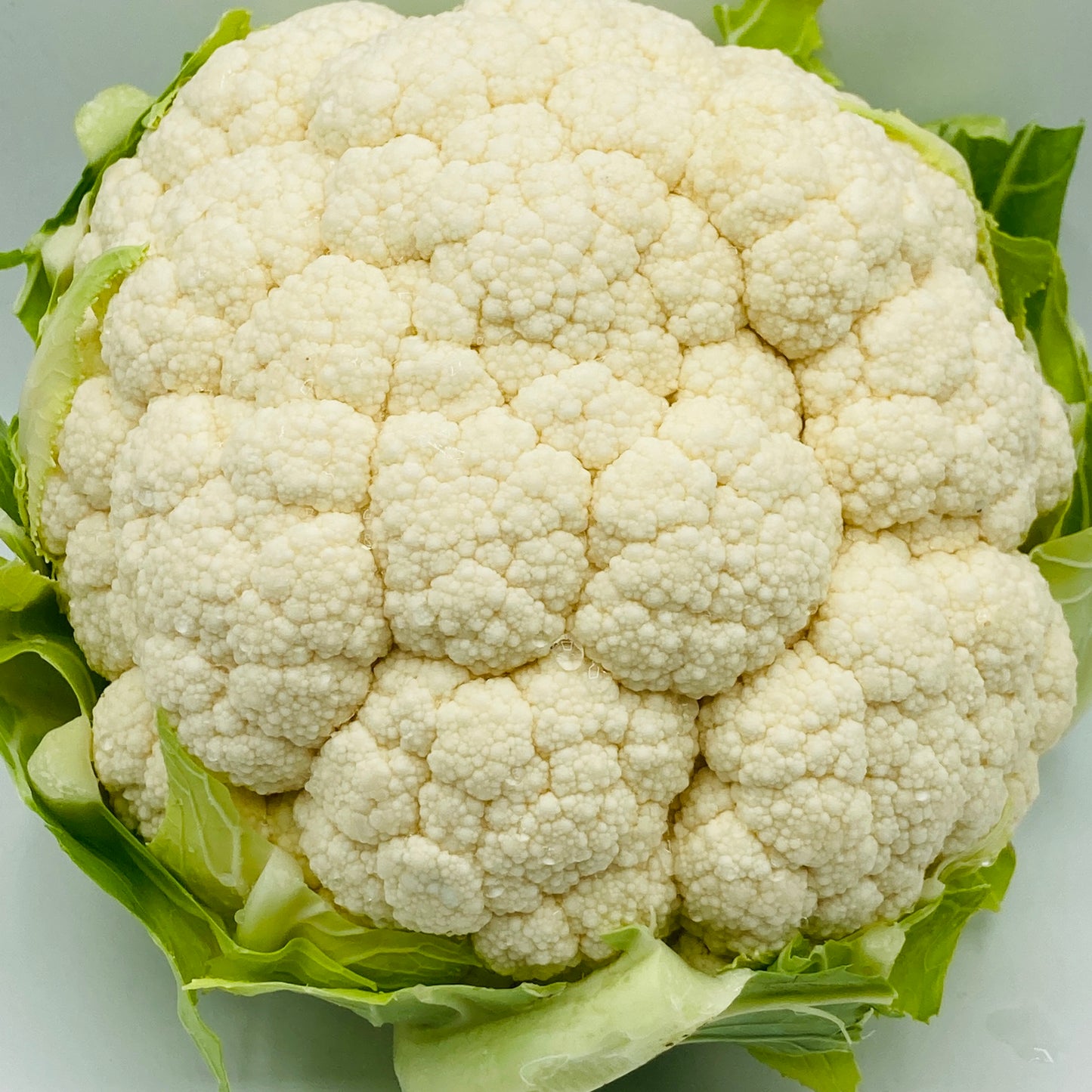 Blumenkohl - 1 Stück