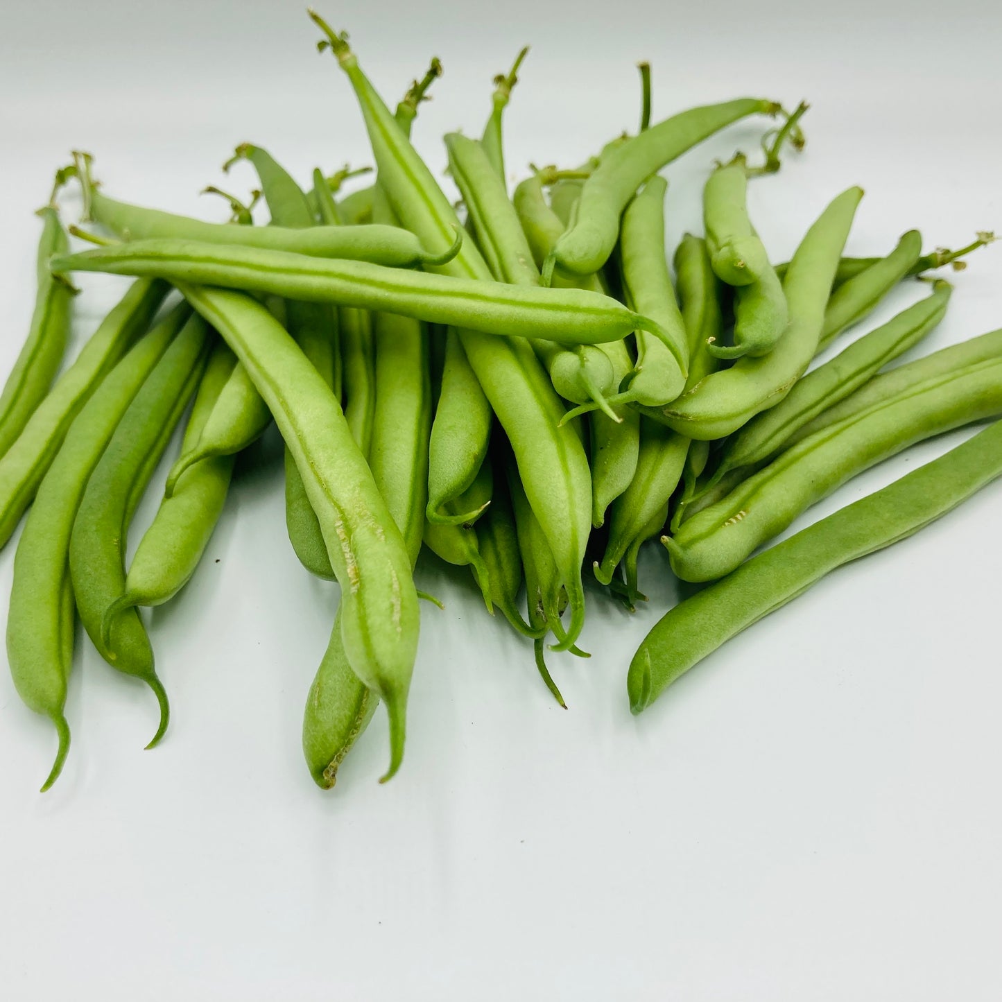 Bohnen - 250g