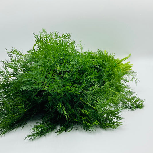 Dill - 1 Bund