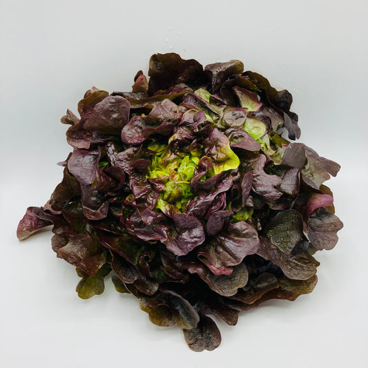 Eichblatt rot - 1 Stück