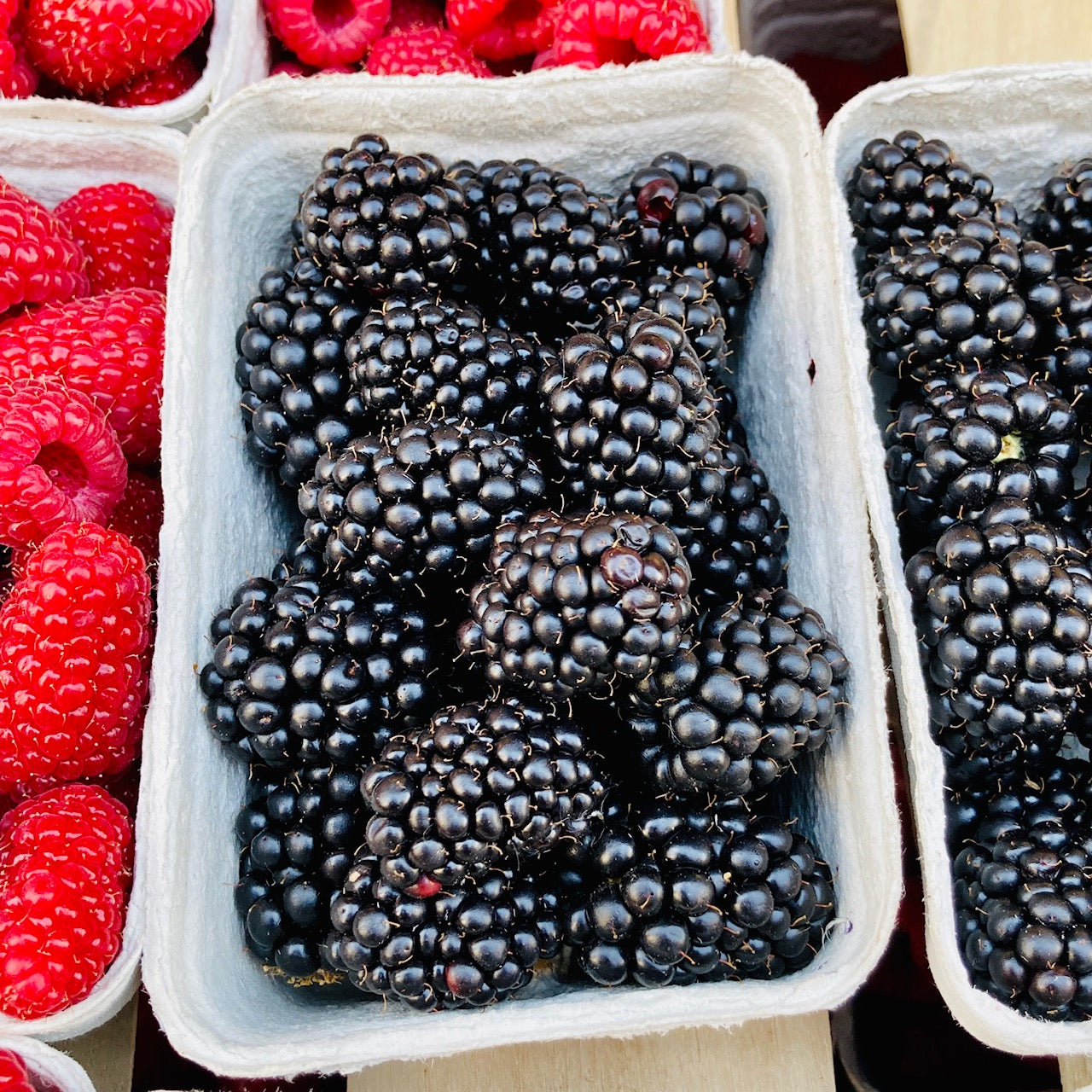 Frische Brombeeren 250g