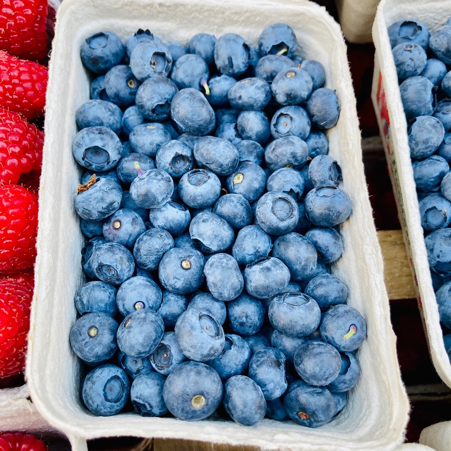 Frische Heidelbeeren 250g