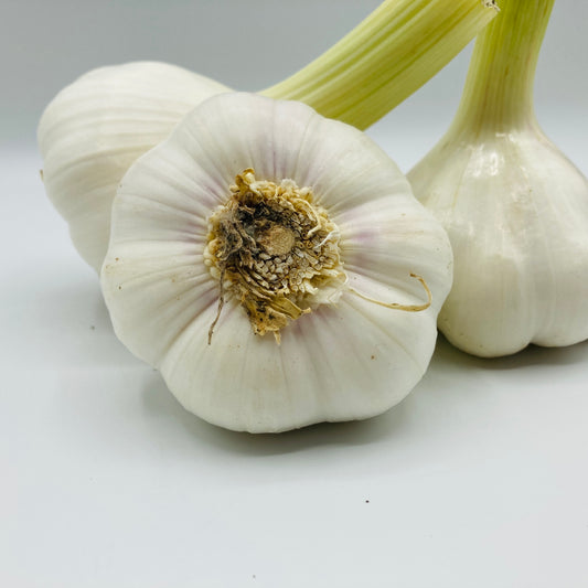 Knoblauch frisch - 1 Stück