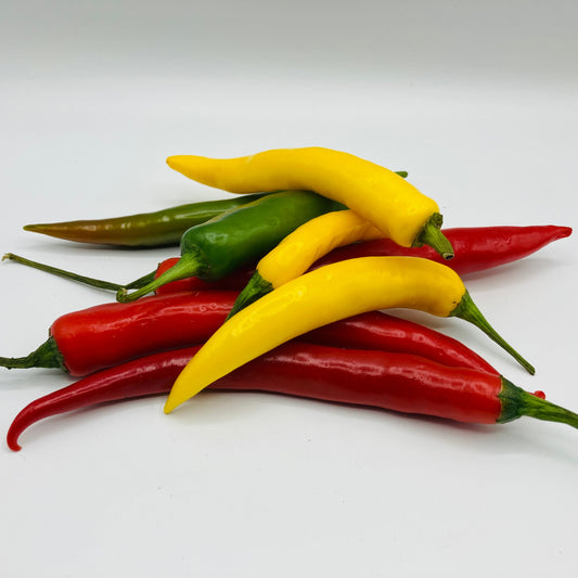 Pfefferoni - 1 Stück