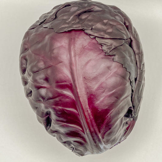 Rotkohl - 1 Stück