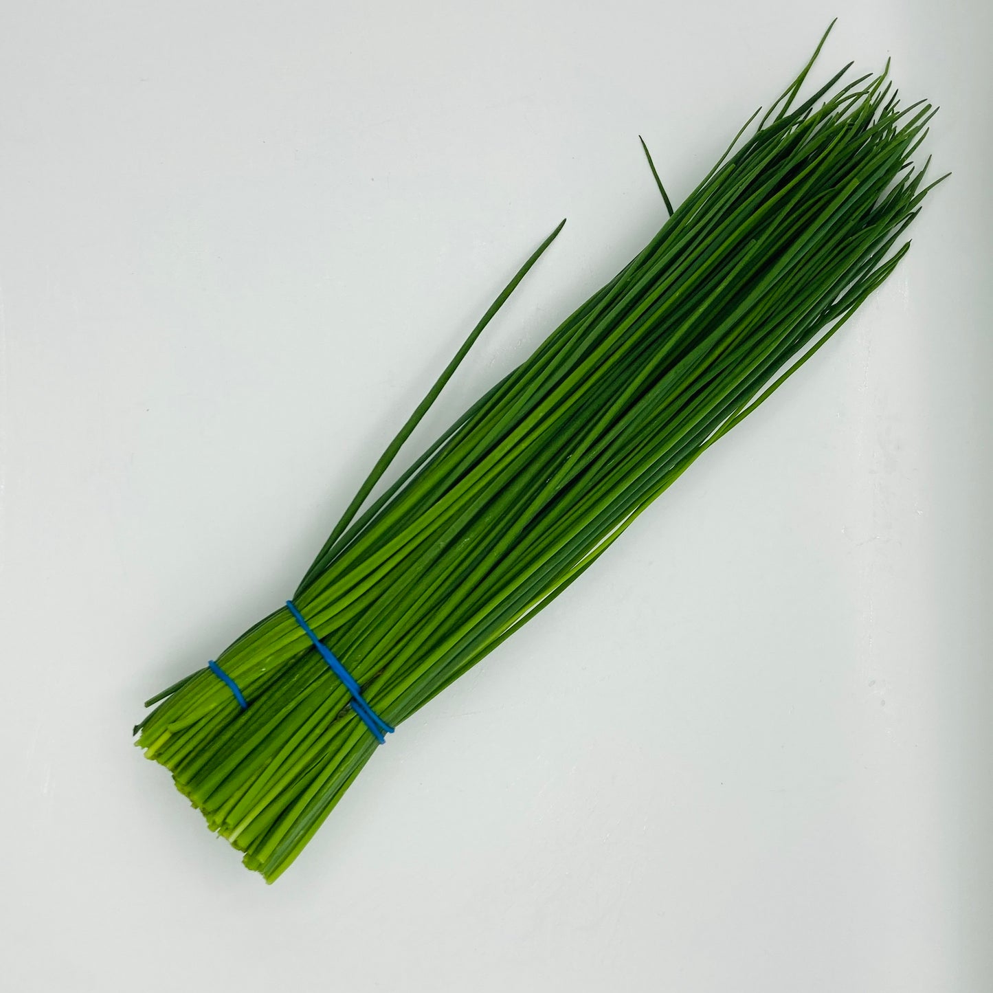 Schnittlauch - 1 Bund