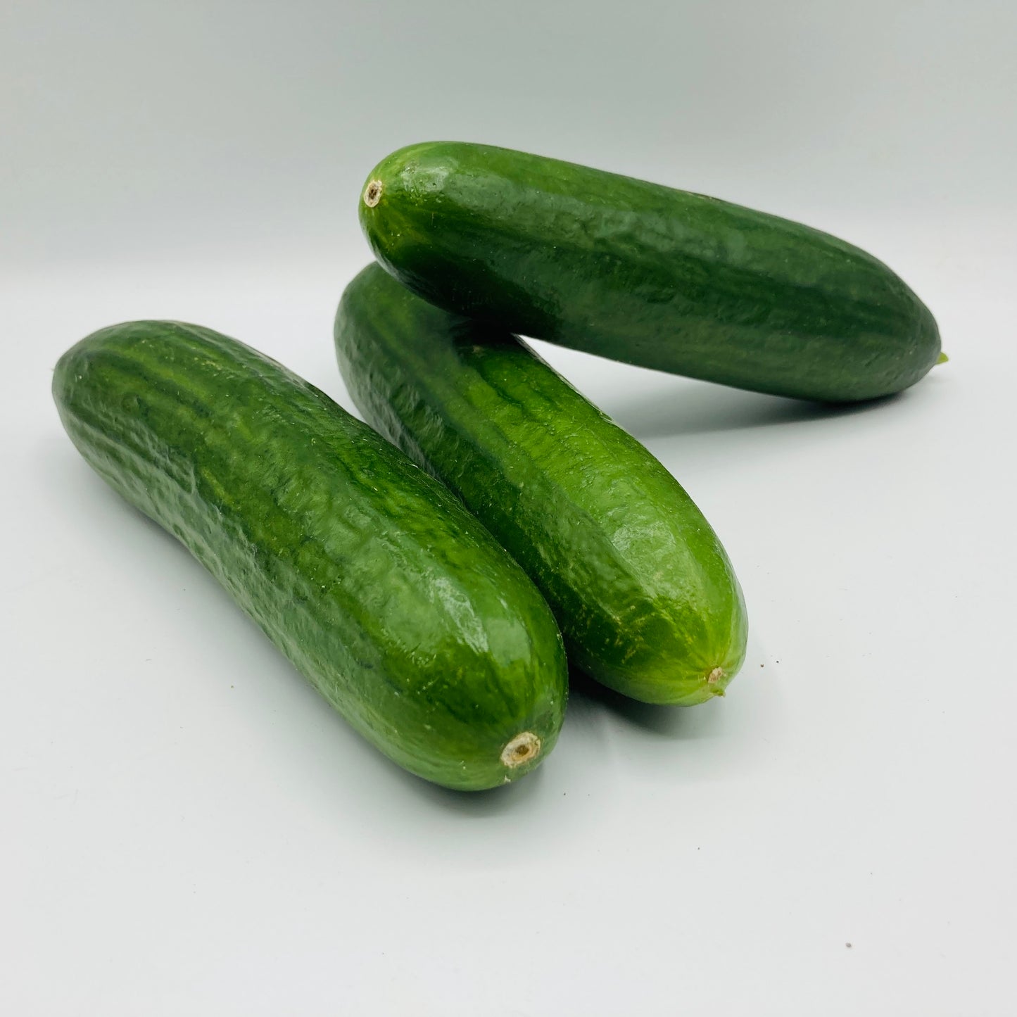 Vespergurke - 1 Stück