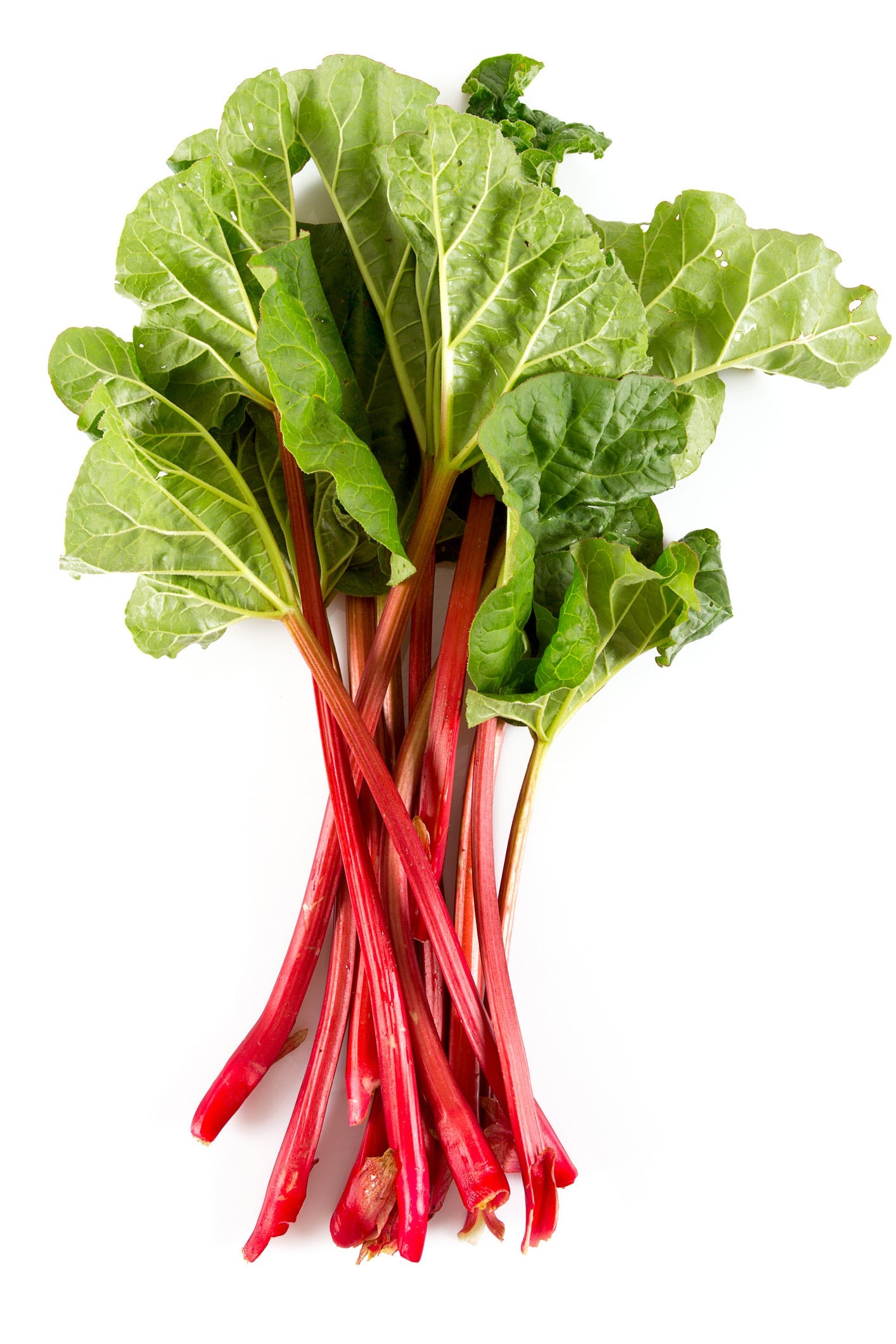 Rhabarber 500g