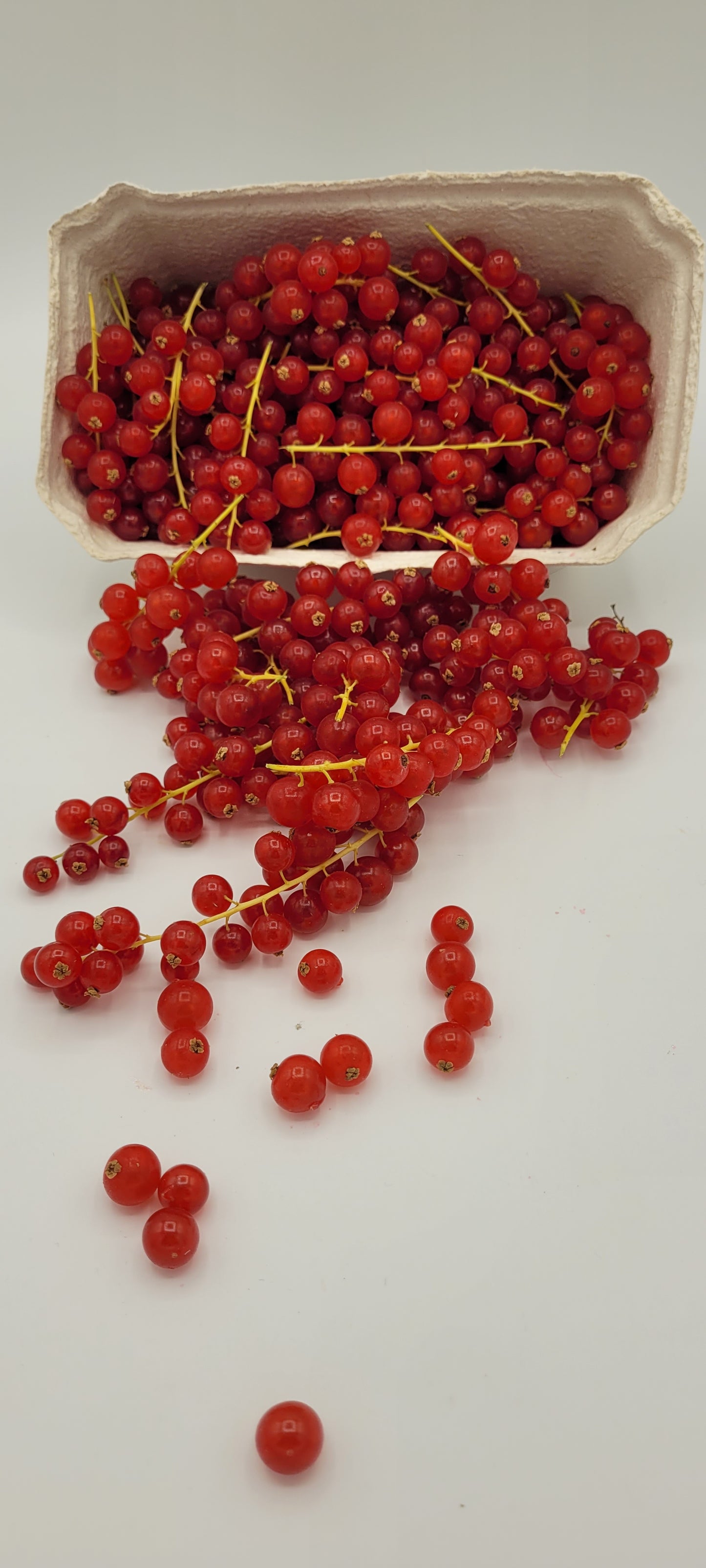 Johannisbeeren 500g
