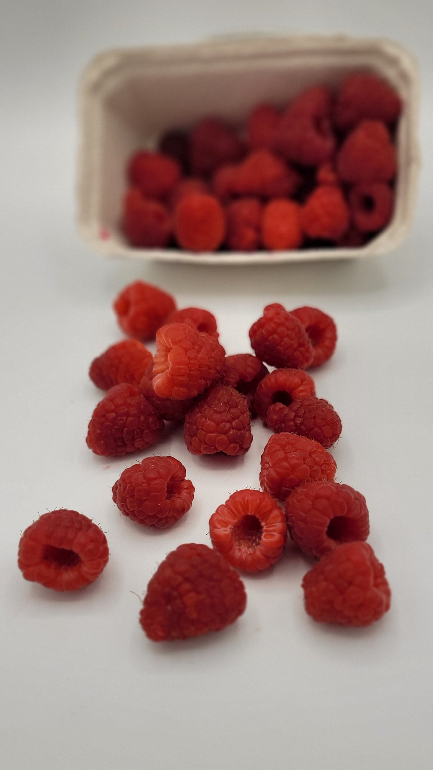 Frische Himbeeren - 250g