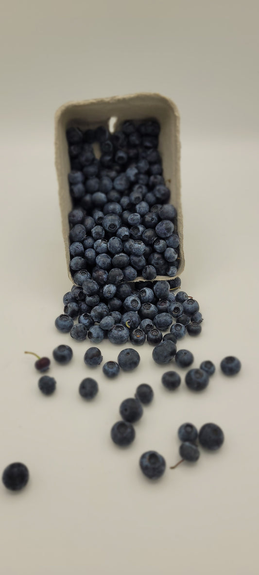 Frische Heidelbeeren - 250g