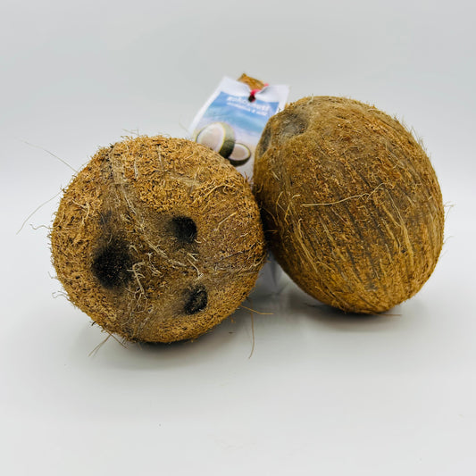 Kokosnuss - 1 Stück