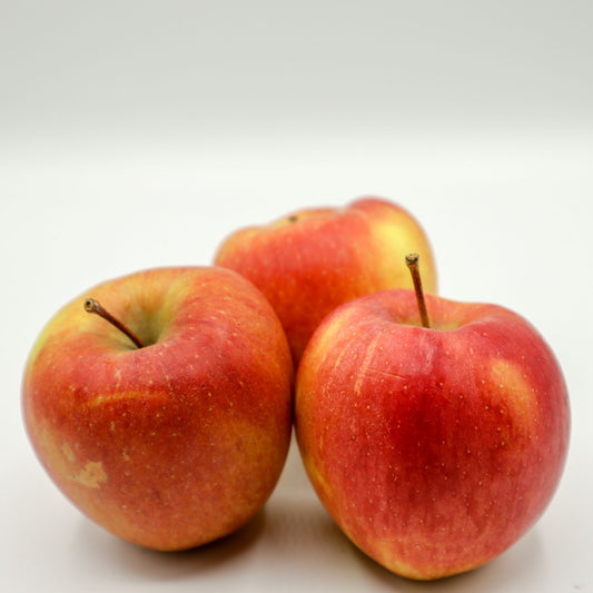 Apfel "Elstar" - 1kg