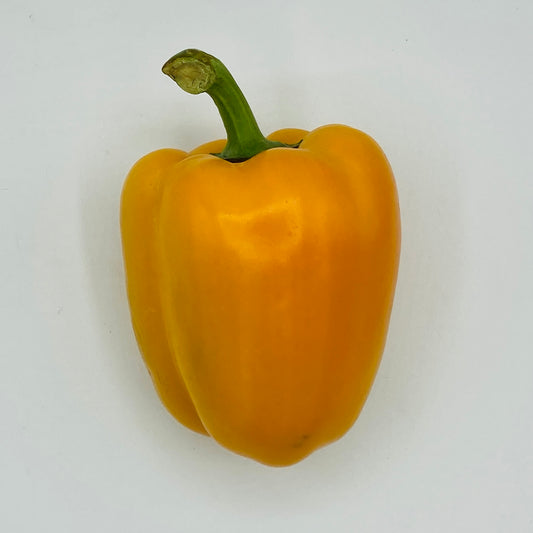 Paprika gelb - 1 Stück